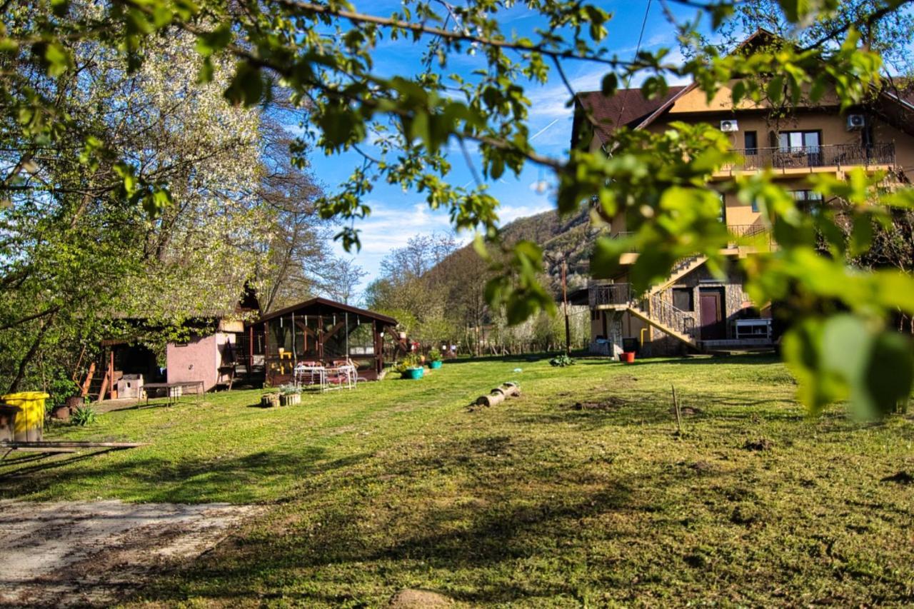 Motel Seaca Călimăneşti Extérieur photo