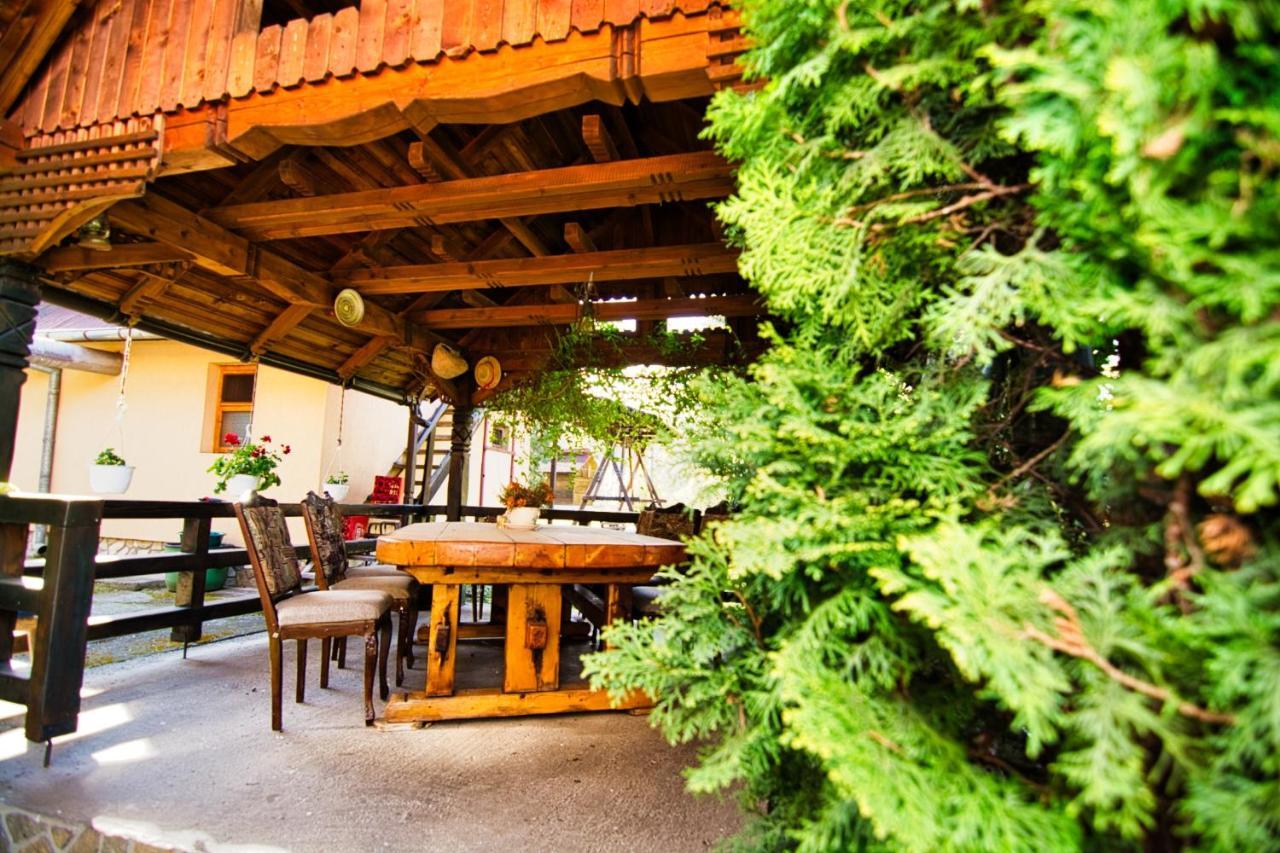 Motel Seaca Călimăneşti Extérieur photo